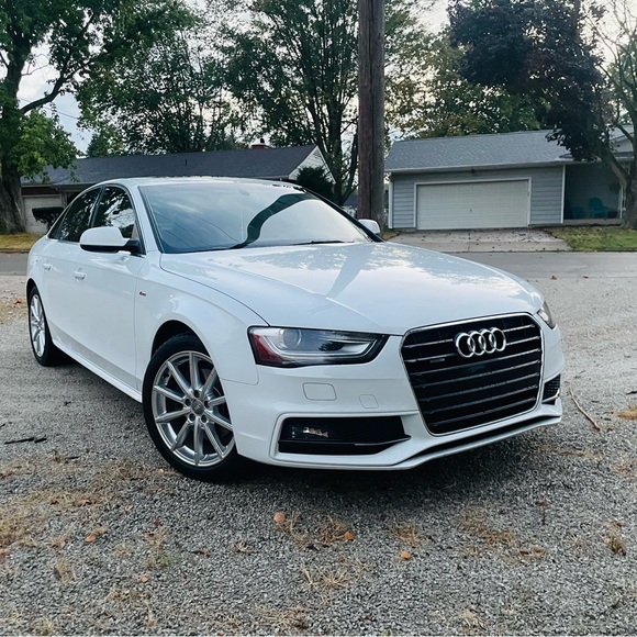 Meet your Posher, Abby - Picture 2 of 16